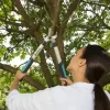1.65 Inch Cut Capacity 27'' Bypass Pruning Lopper