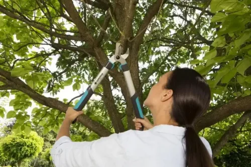 1.65 Inch Cut Capacity 27'' Bypass Pruning Lopper