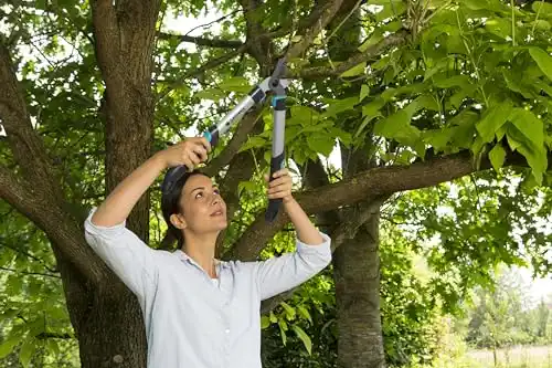 Gardena 1.65 Inch Cut Capacity 20'' Bypass Pruning Lopper