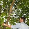 Gardena 1.65 Inch Cut Capacity 35.5'' Bypass Pruning Lopper