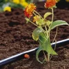 GARDENA 1350-U 3/16-Inch By 49-Feet Supply Pipe for Micro Drip System