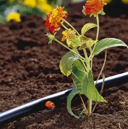 GARDENA 1350-U 3/16-Inch By 49-Feet Supply Pipe for Micro Drip System