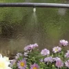 GARDENA 1350-U 3/16-Inch By 49-Feet Supply Pipe for Micro Drip System
