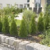 GARDENA 1350-U 3/16-Inch By 49-Feet Supply Pipe for Micro Drip System