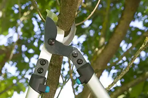 gardena-8710-27-inch-bypass-pruning-lopper-with-1-2-5.webp Gardena 8710 27-Inch Bypass Pruning Lopper With 1-1/2-Inch Cut & Ergonomic Aluminum Handles