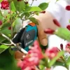 Gardena 8785 Comfort Bypass Hand Pruner With 3/4-Inch Cut