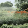 Gardena Profi System (Maxi Flow) - Spray Lance